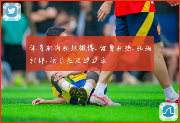 体育肌肉狗奴微博,健身狂热,狗狗相伴,快乐生活逗逗乐